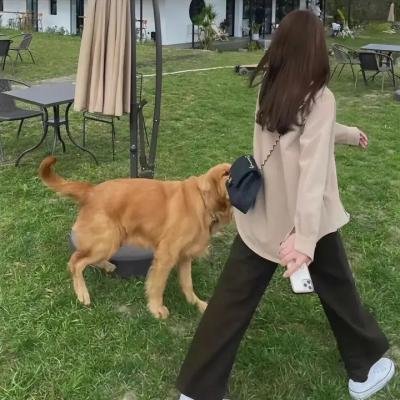 鬼的士